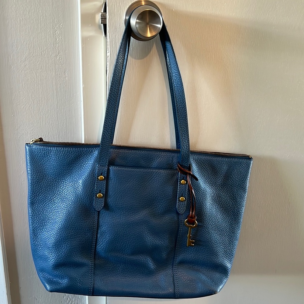 Blue fossil purse